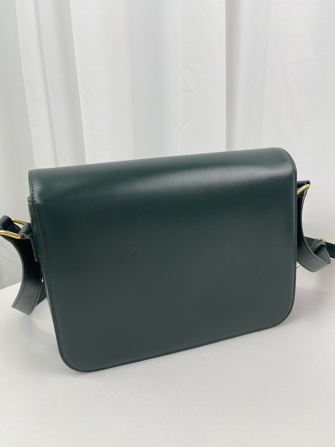 CELINE Triomphe Leather Handbag