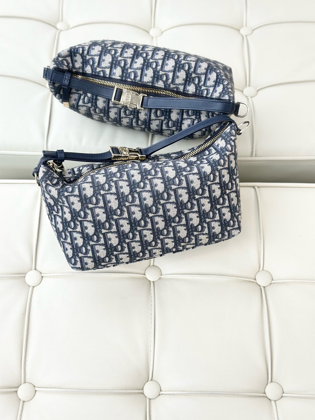 DIOR Nomad DiorTravel Fabric Handbag