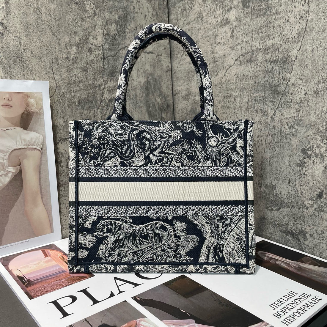 DIOR Toile de Jouy large canvas tote bag, decorated with reverse embroidered book pattern.