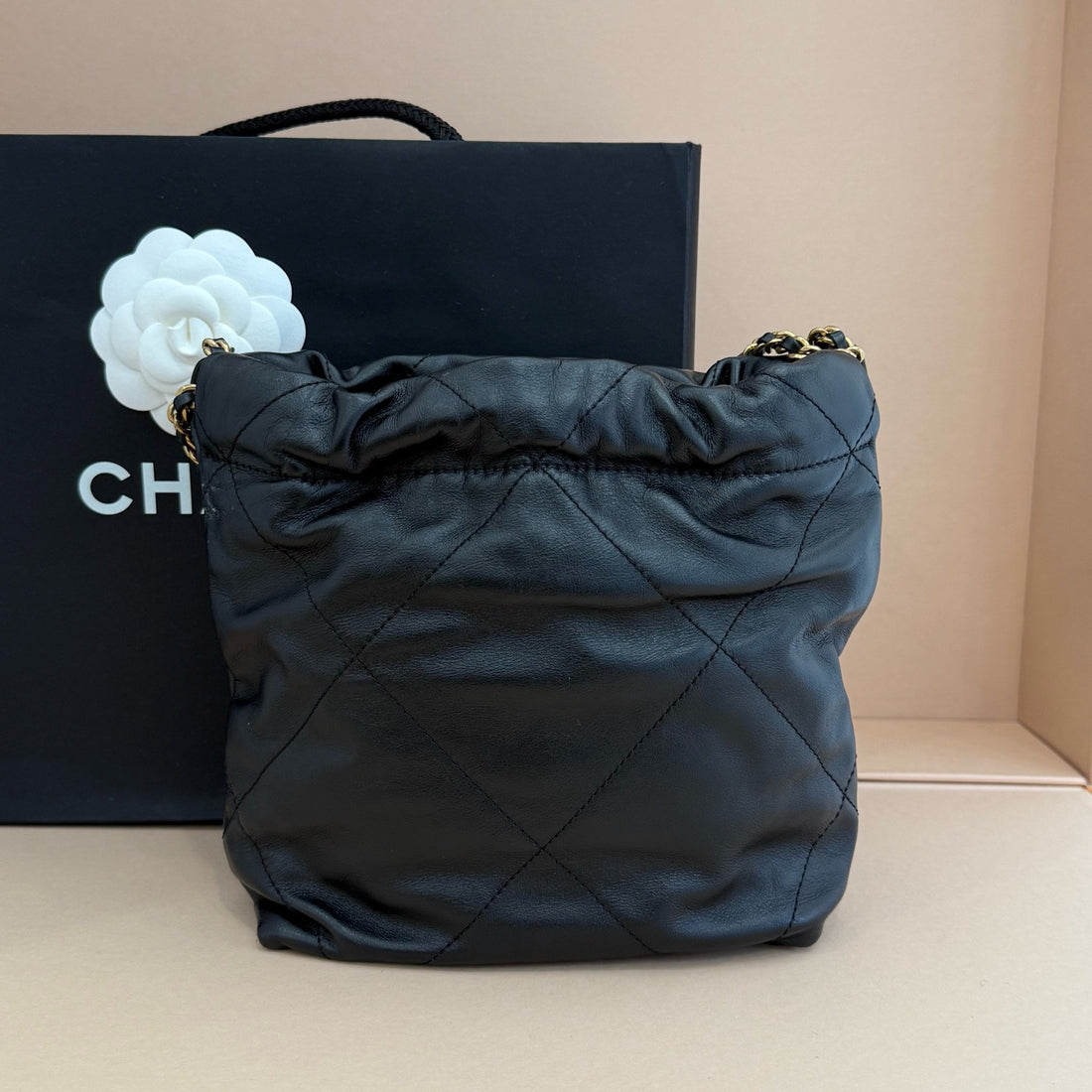Chanel 22 Mini Hobo Handbag