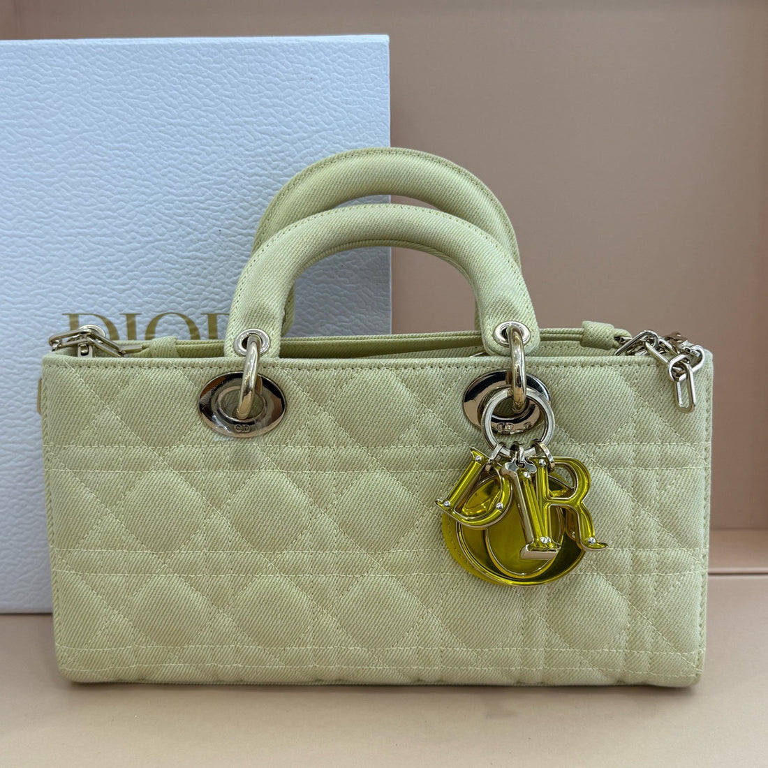 Dior D-joy Light Green Horizontal Princess Dior