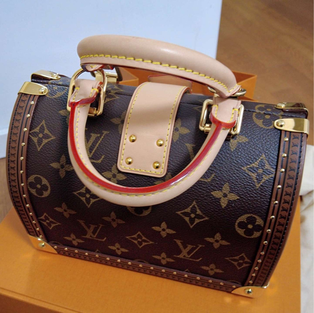 LV Speedy Trunk Monogram