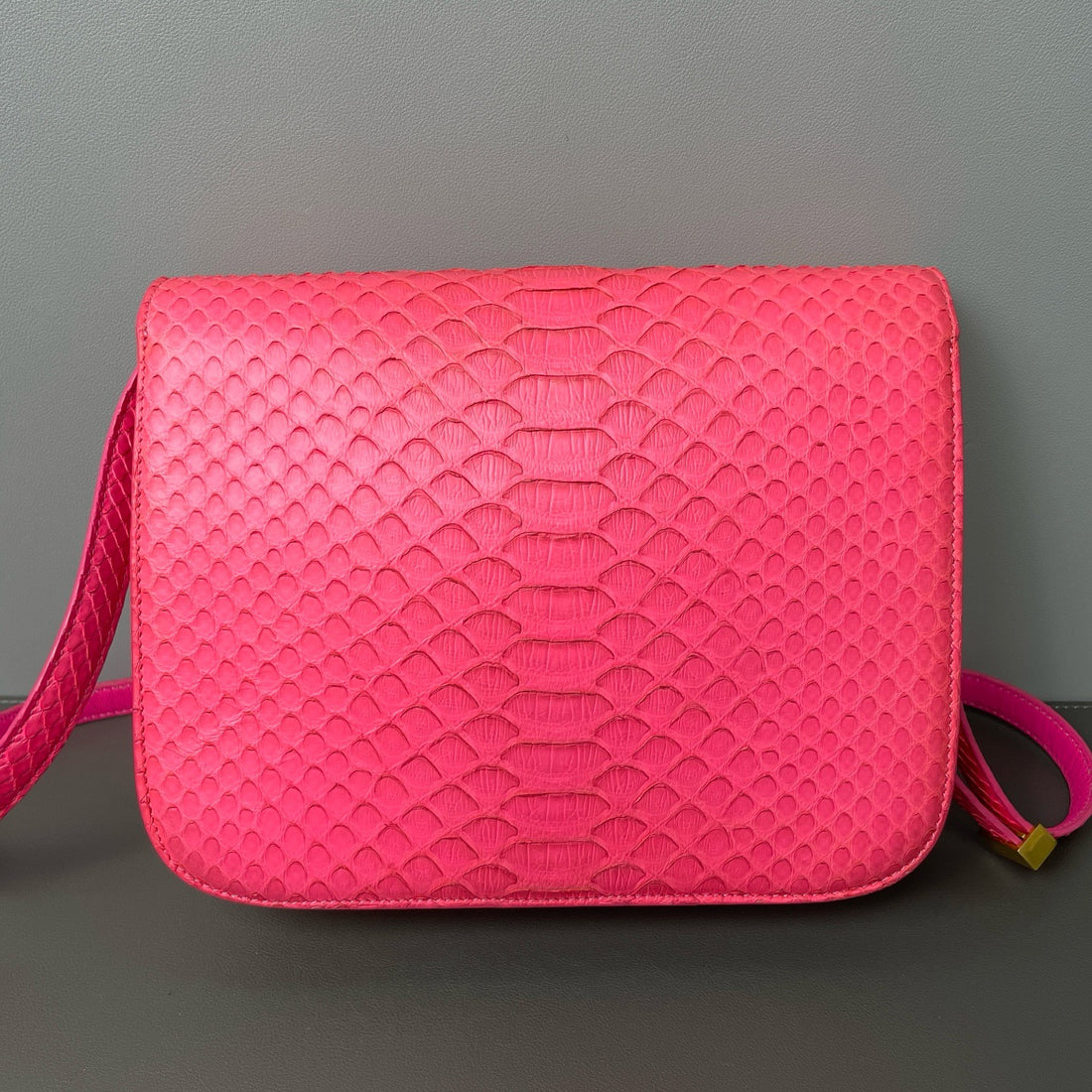 Celine  Classic Exotic Leather Handbag